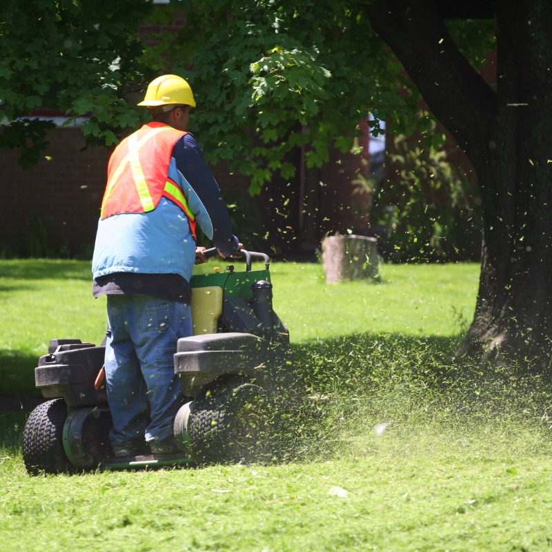 Justz-All-in-One-cleaning-solution-yard-maintenance-services-yard-maintenance-02